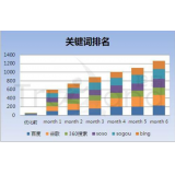 聊城如何防止SEO关键词排名下降